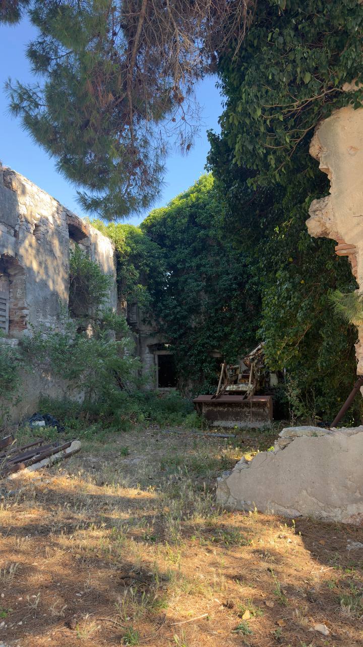 Ruinas reclamadas por el verde