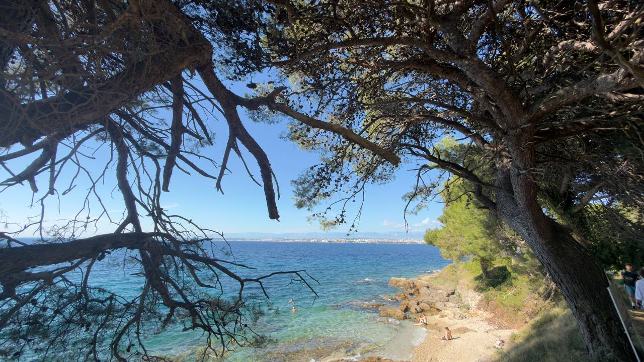 Cala mediterránea bajo los pinos